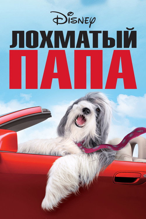 Постер: Лохматый папа