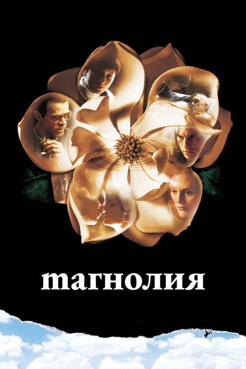 Постер: Магнолия