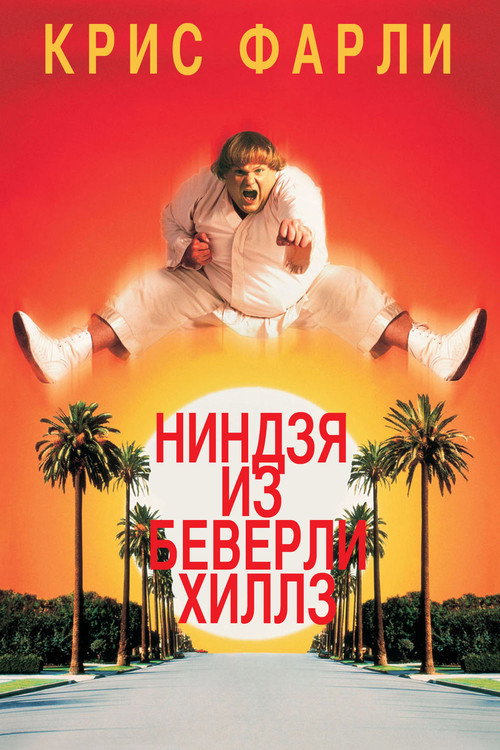 Постер: Ниндзя из Беверли Хиллз