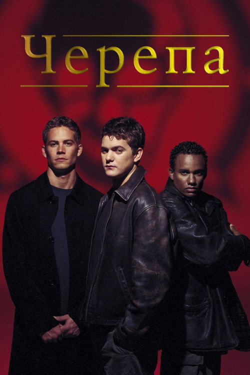 Постер: Черепа