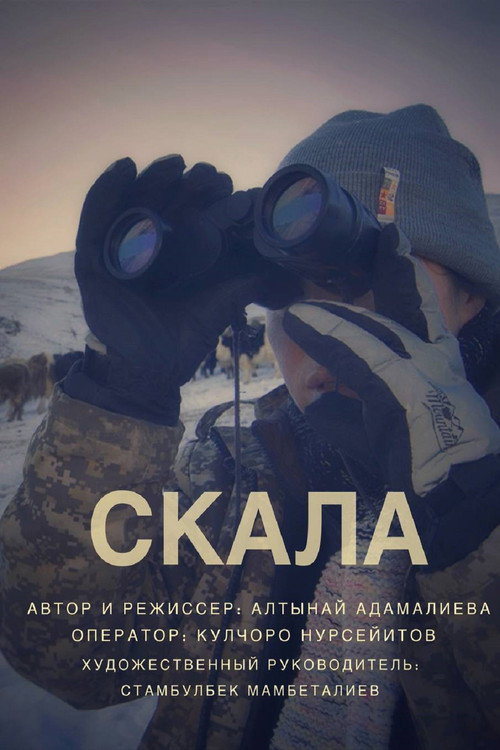 Постер: Скала
